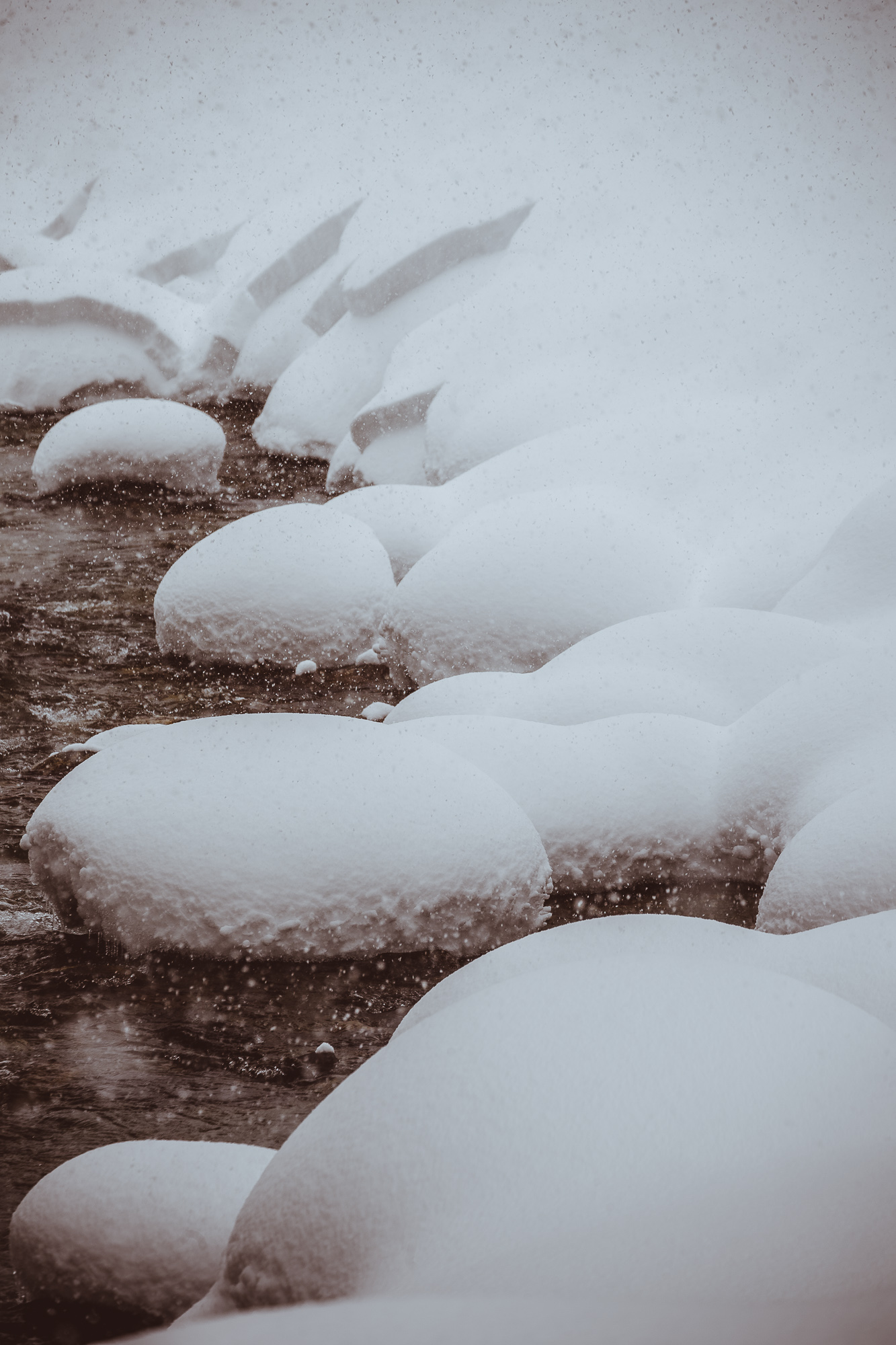 Export x3 1DX29392 Verlobungsfotoshooting 2018 Anna & Dominik